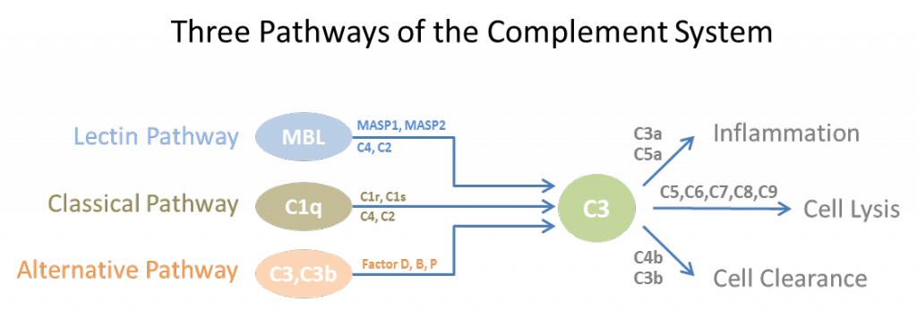 stories resverlogix corp complement cascade